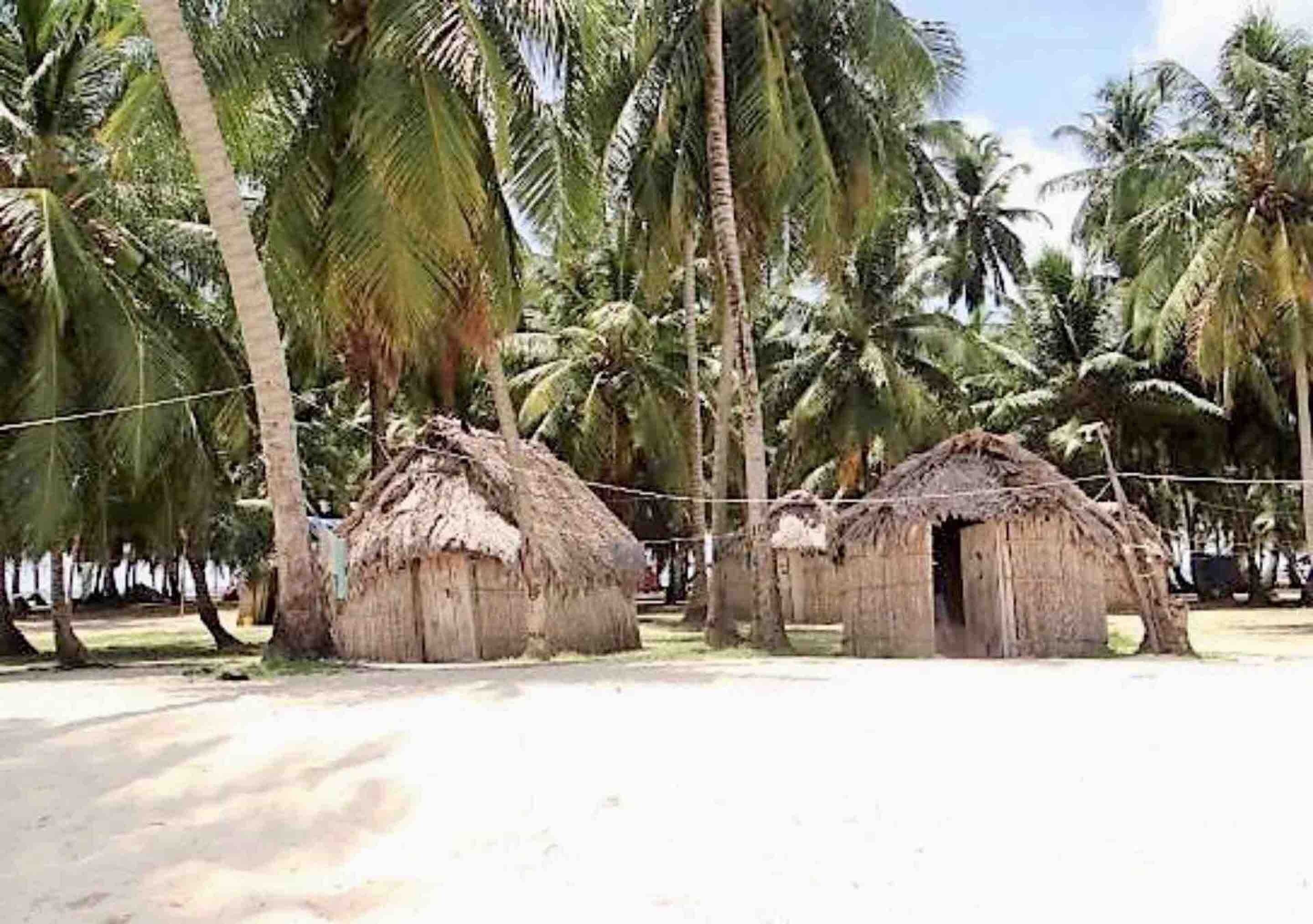 Cabins in Asserya Island - San Blas paradise - meals included