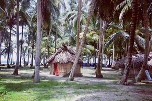 A thatched-roof hut surrounded by palm trees, likely a beach hut or bungalow.