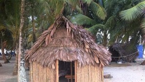 A thatched-roof hut with an open entrance, surrounded by palm trees. - Cabins in Asserya Island - San Blas paradise - meals included (Ailigandi)