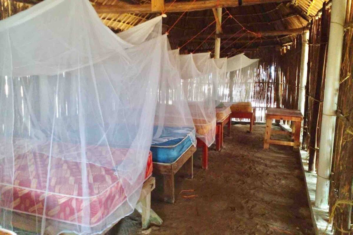 A room with mosquito nets over beds, wooden furniture, and bamboo structures.