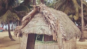 A thatched-roof hut with a small door and a window, surrounded by palm trees. - Cabins in Asserya Island - San Blas paradise - meals included (Ailigandi)