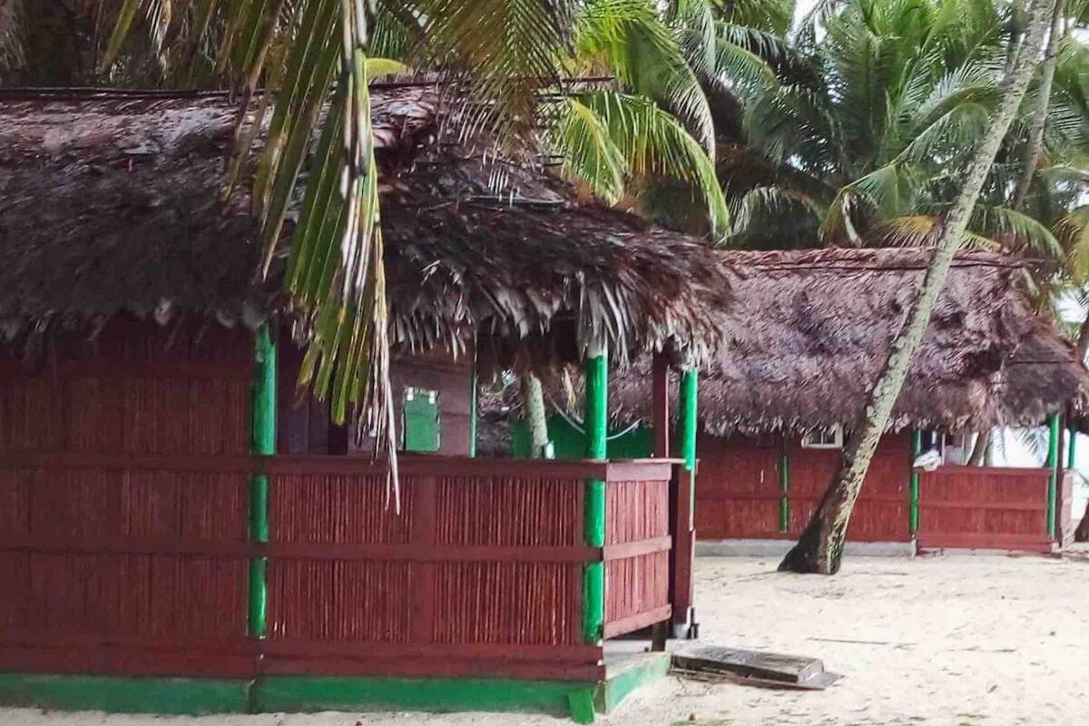 A thatched-roof hut with a wooden frame and green accents, situated on a sandy beach with palm trees in the background.