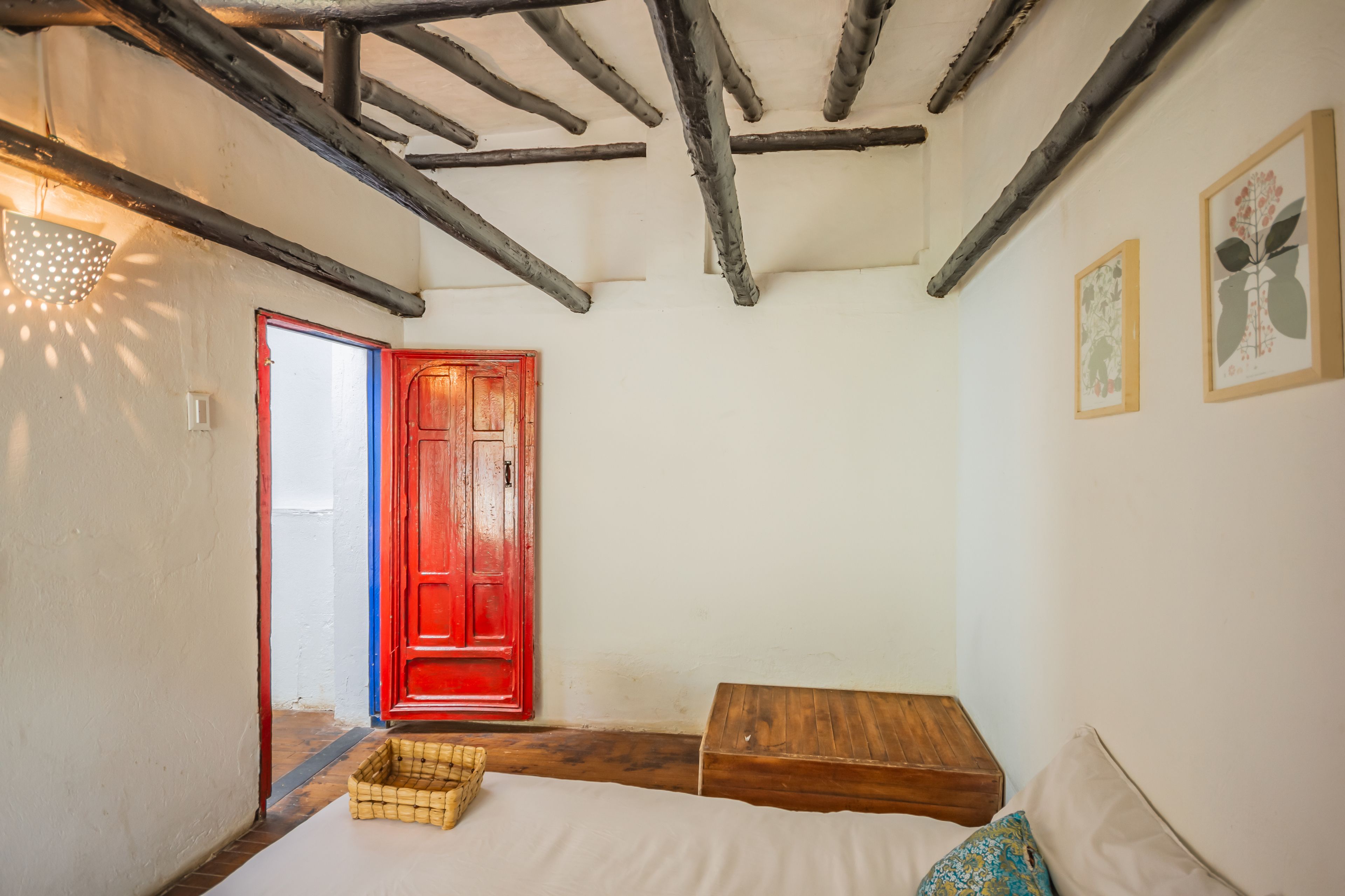 Foto - Botanico Hostel