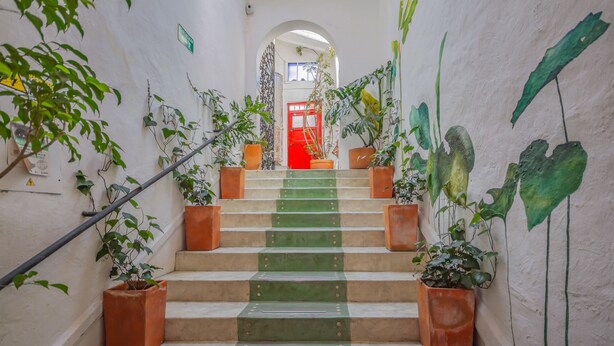 A staircase with potted plants on both sides, leading to a red door at the top. - Botanico Hostel (Bogotá)
