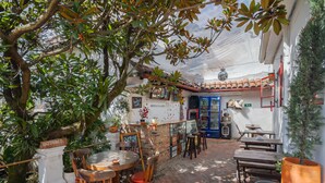 A cozy outdoor café with wooden tables and chairs, surrounded by potted plants and a rustic brick floor. - Botanico Hostel (Bogotá)