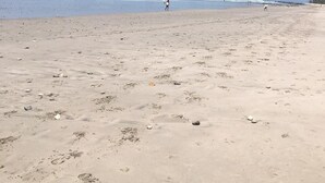 En bred, sandet strand med fodspor og enkelte spredte sten.