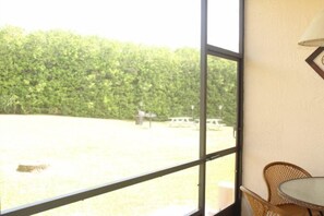 House | View from room - Mango Key 2BR 2BA Townhome (Kissimmee)