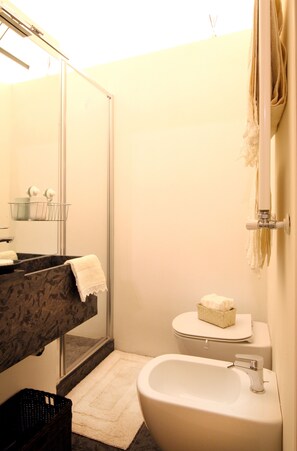 Hair dryer, towels, soap, toilet paper