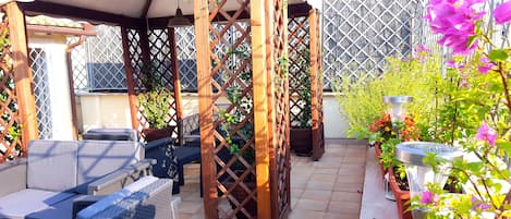 Terras