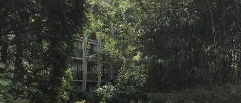 المنطقة المحيطة بالمنشأة