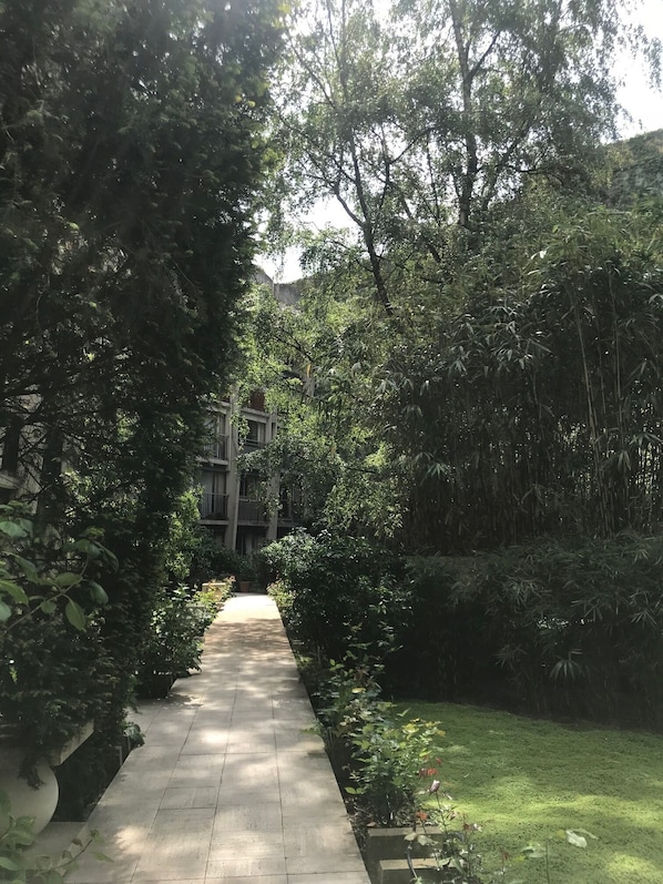 Caminho serpenteando por um jardim exuberante, com folhagem densa em ambos os lados.