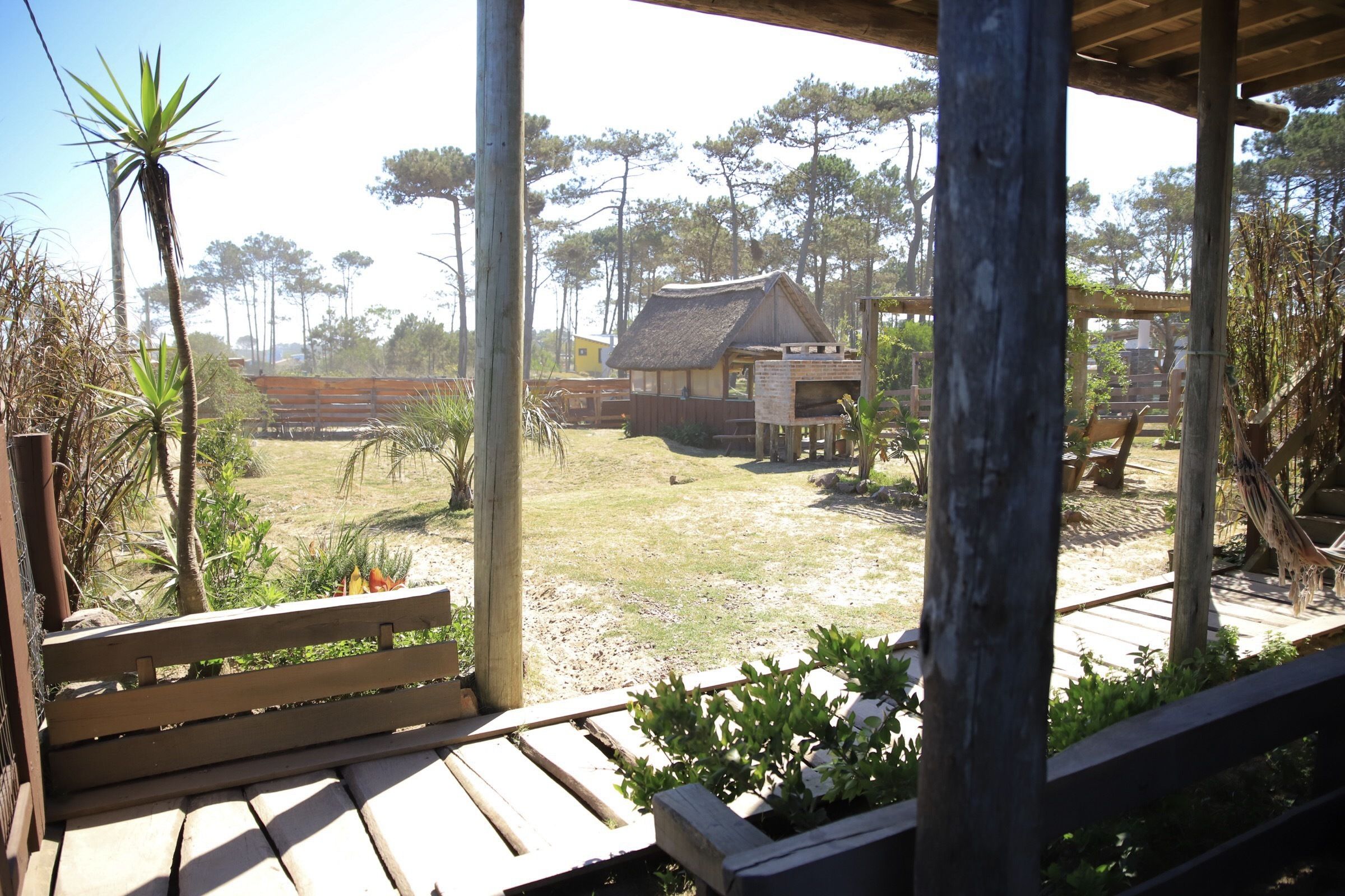 Una terraza de madera con un banco, rodeada de plantas en macetas y un edificio con techo de paja.