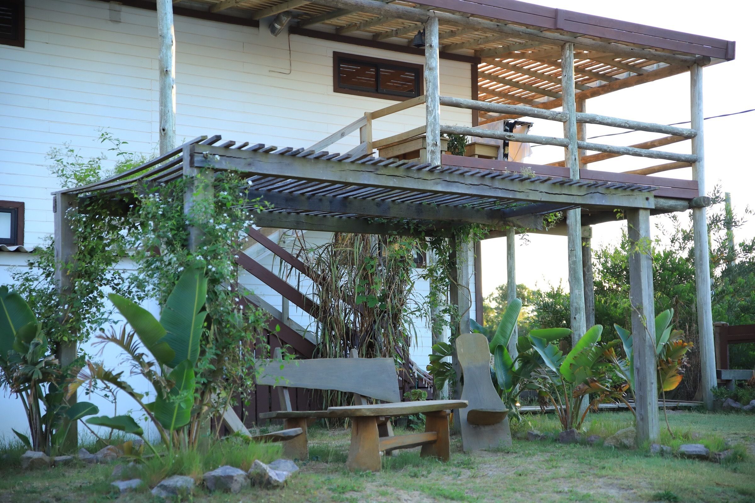 Une pergola en bois avec un banc, entourée de plantes tropicales.