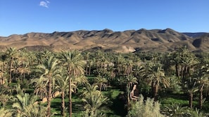 Land view from property