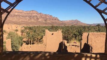 إطلالة على الشارع من المنشأة