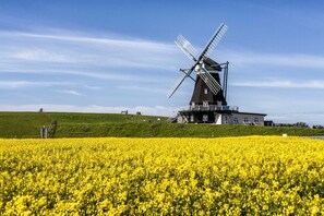 Imagen sin descripción, 3 de 32, botón