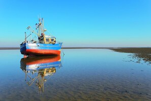 Imagem sem classificação, 5 de 32, botão