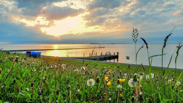 A grassy field with a dock extending into a calm body of water during sunset.