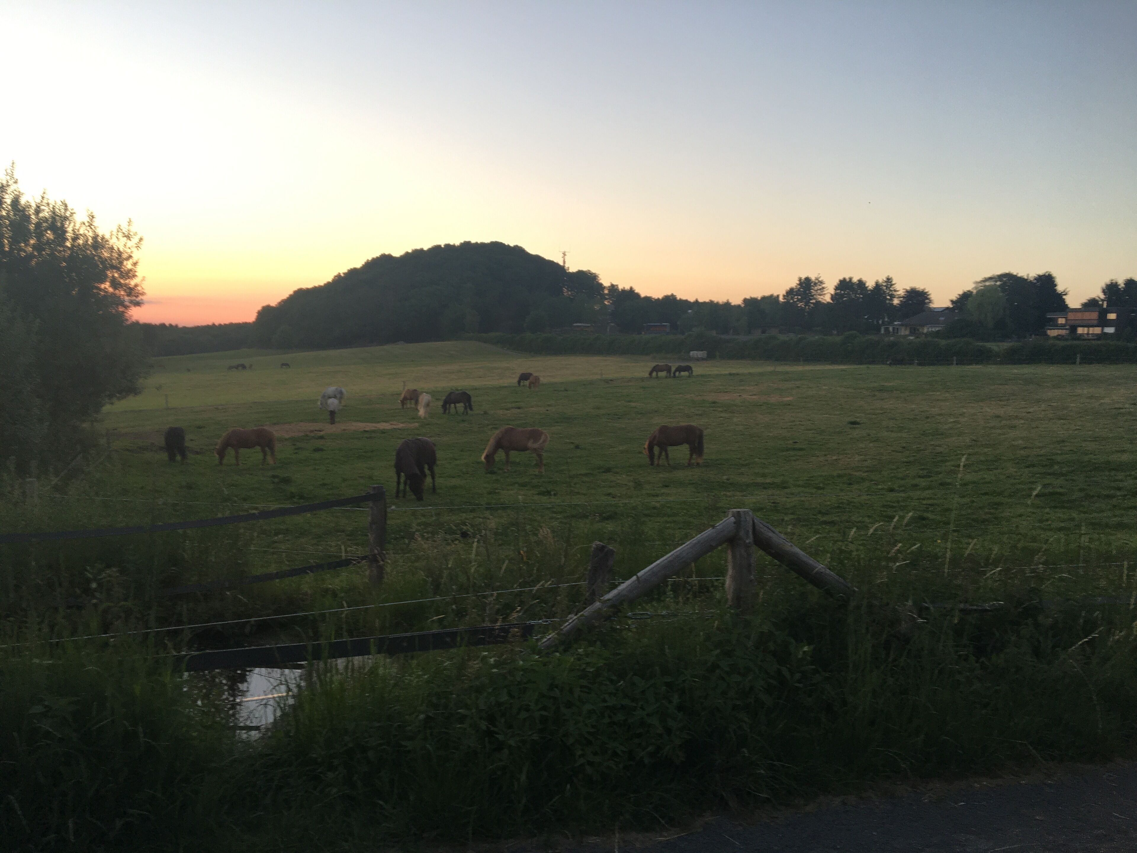 Ländliche Landschaft mit einer grünen Wiese und einem kleinen Gewässer im Vordergrund.