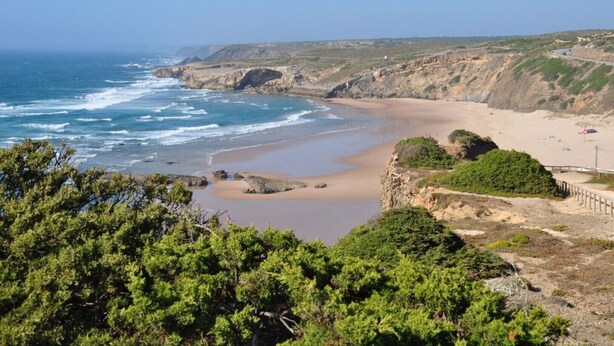 Eine Küstenlandschaft mit Sandstrand, steinigen Klippen und dichter Vegetation.