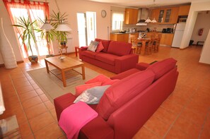 TV, fireplace, DVD player, books