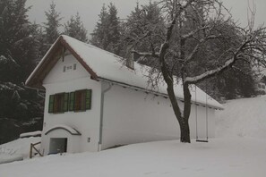 A snow-covered building with a sloped roof, a chimney, and a small porch.