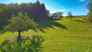 Una casa con techo inclinado, rodeada por un campo cubierto de césped y árboles.