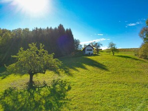 A house with a sloped roof, surrounded by a grassy field and trees. - Kellerstöckl Leitner - Kellerstöckl (Sumetendorf)