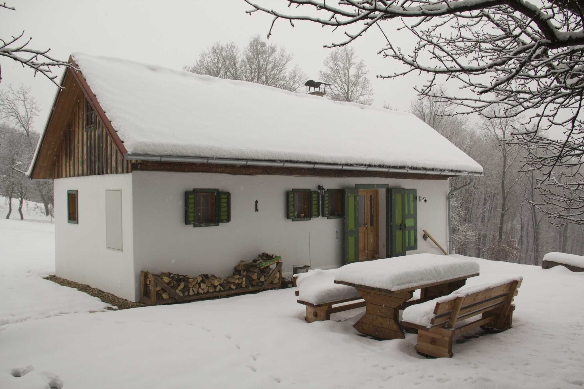 A snow-covered wooden cabin with a bench and table outside, surrounded by trees.