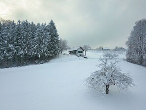 Unclassified image, 2 of 38, button