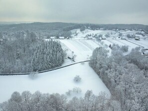 Immagine non classificata, 3 di 38, pulsante