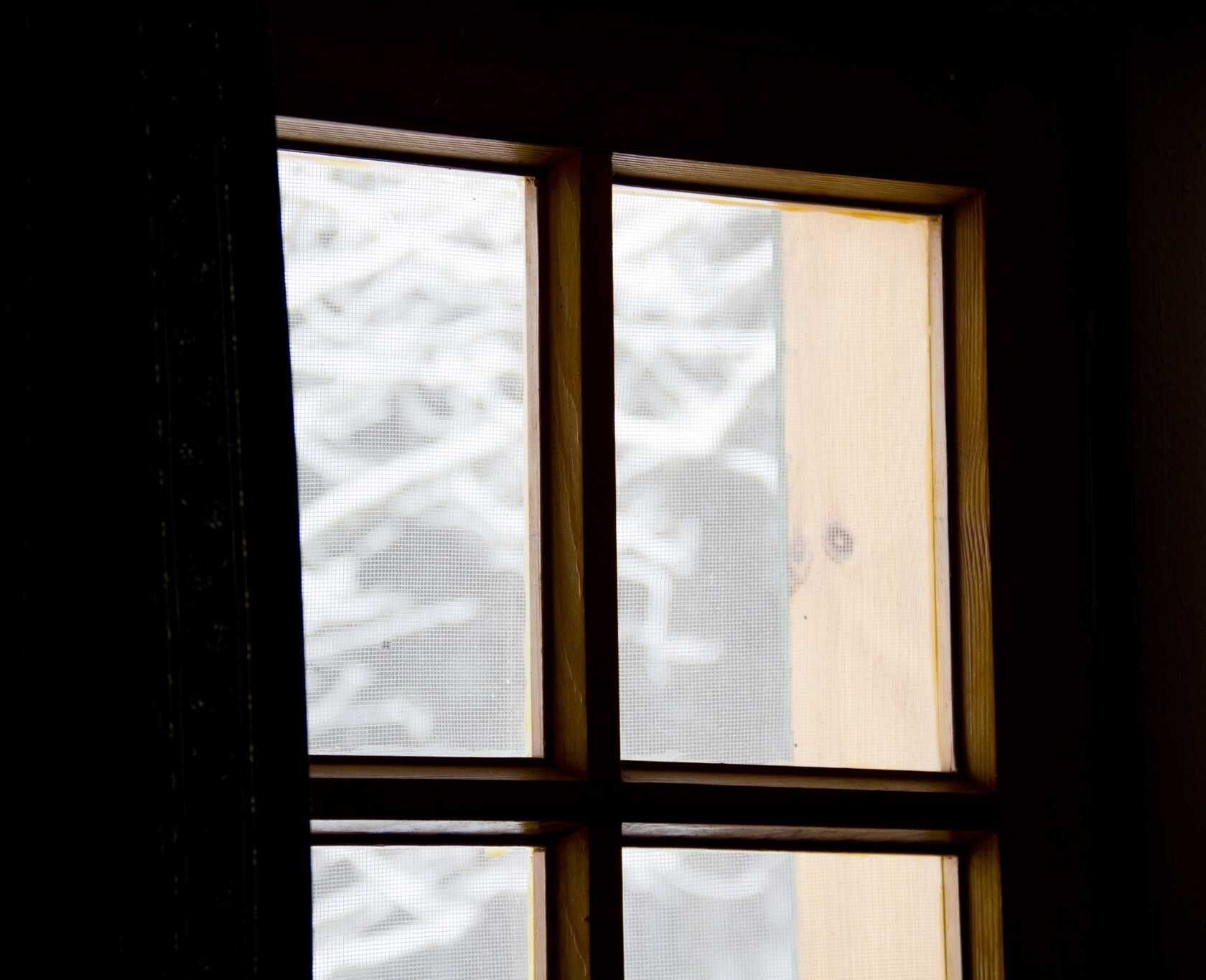 A window with a mesh screen and wooden frame.