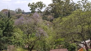 Garden - Mayfair Leisure Hub (Nairobi)