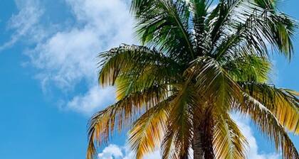 Lagoon front Magnificent Studio completely renovated with panoramic lagoon view