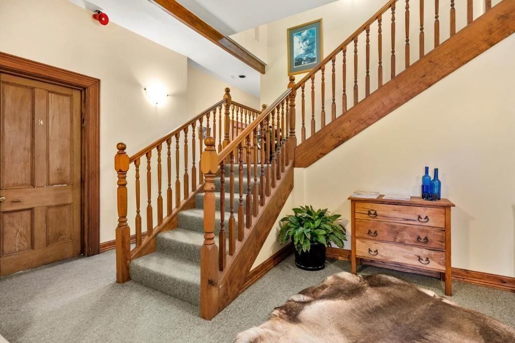 Un escalier en bois avec une rampe, une porte en bois, une commode à tiroirs, une plante en pot et un tapis en fourrure sur le sol.