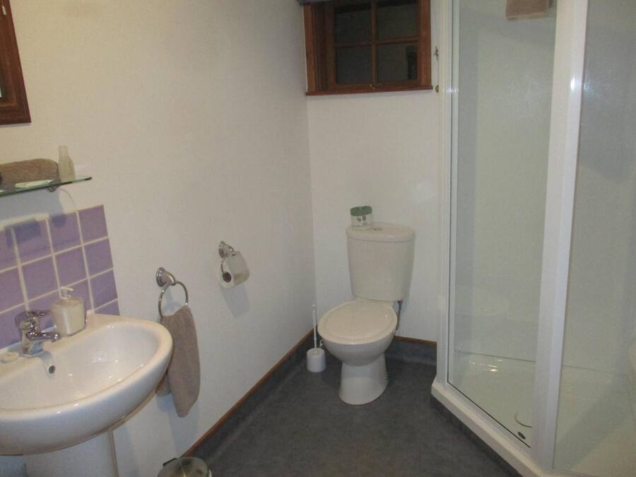 A bathroom with a sink, toilet, and glass shower enclosure.