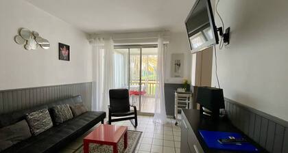 Studio 2 personnes, terrasse fermĂ©e, animaux tolĂ©rĂ©s, proche parking â Cambo-les-Bains
