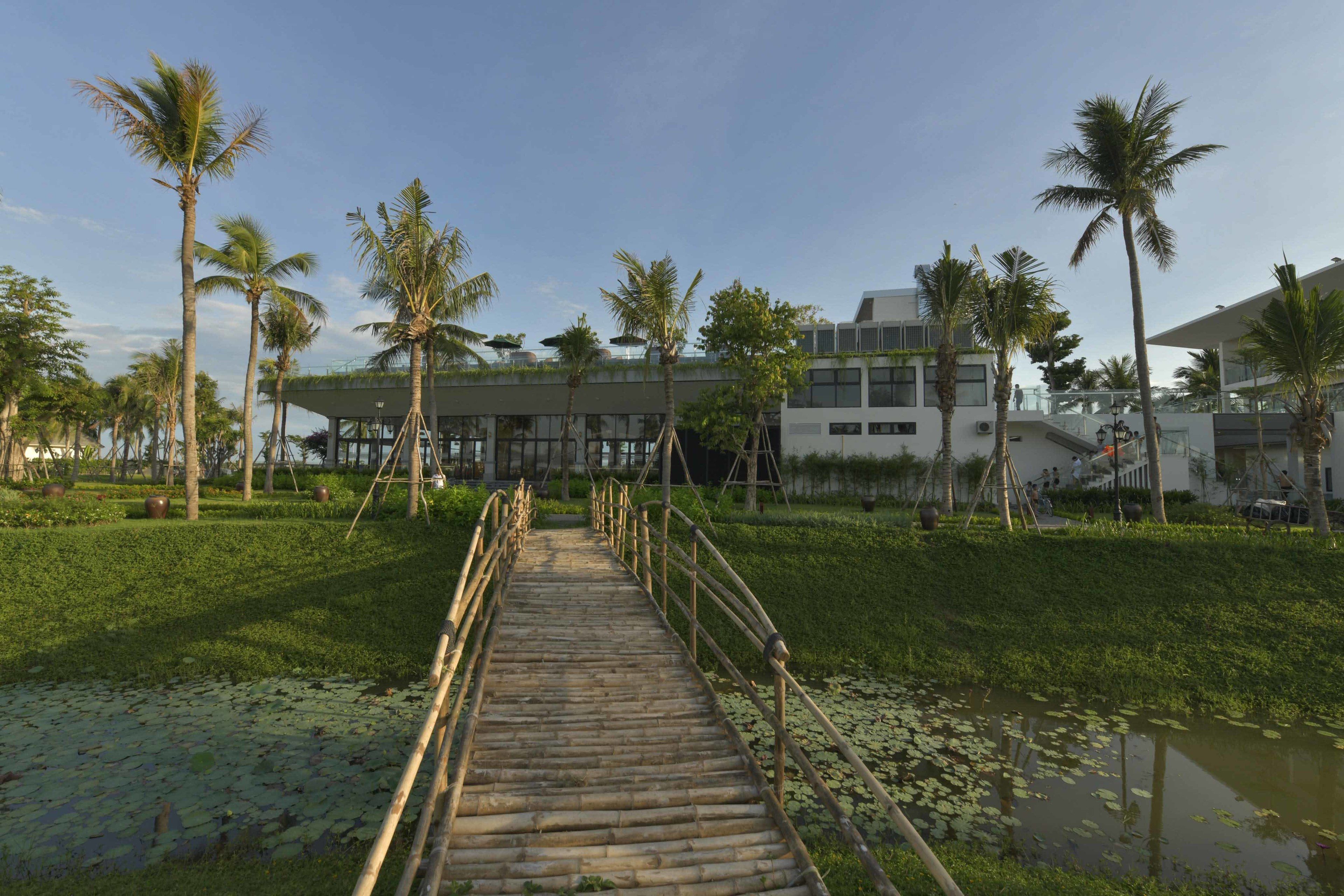 A wooden bridge over a pond with lily pads, surrounded by palm trees and modern buildings.
