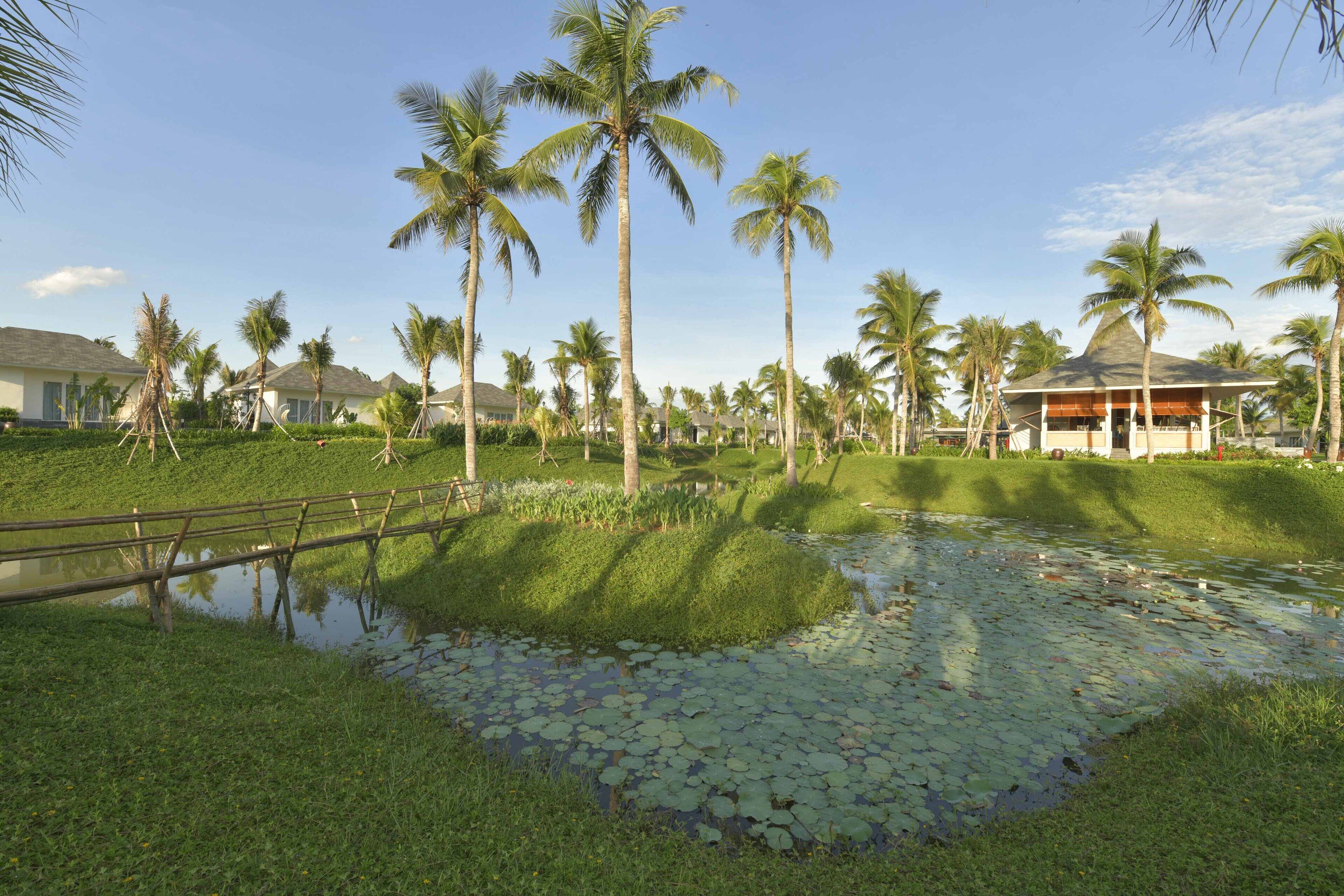 Un complexe hôtelier tropical avec des palmiers, un étang parsemé de nénuphars et un pont en bois.