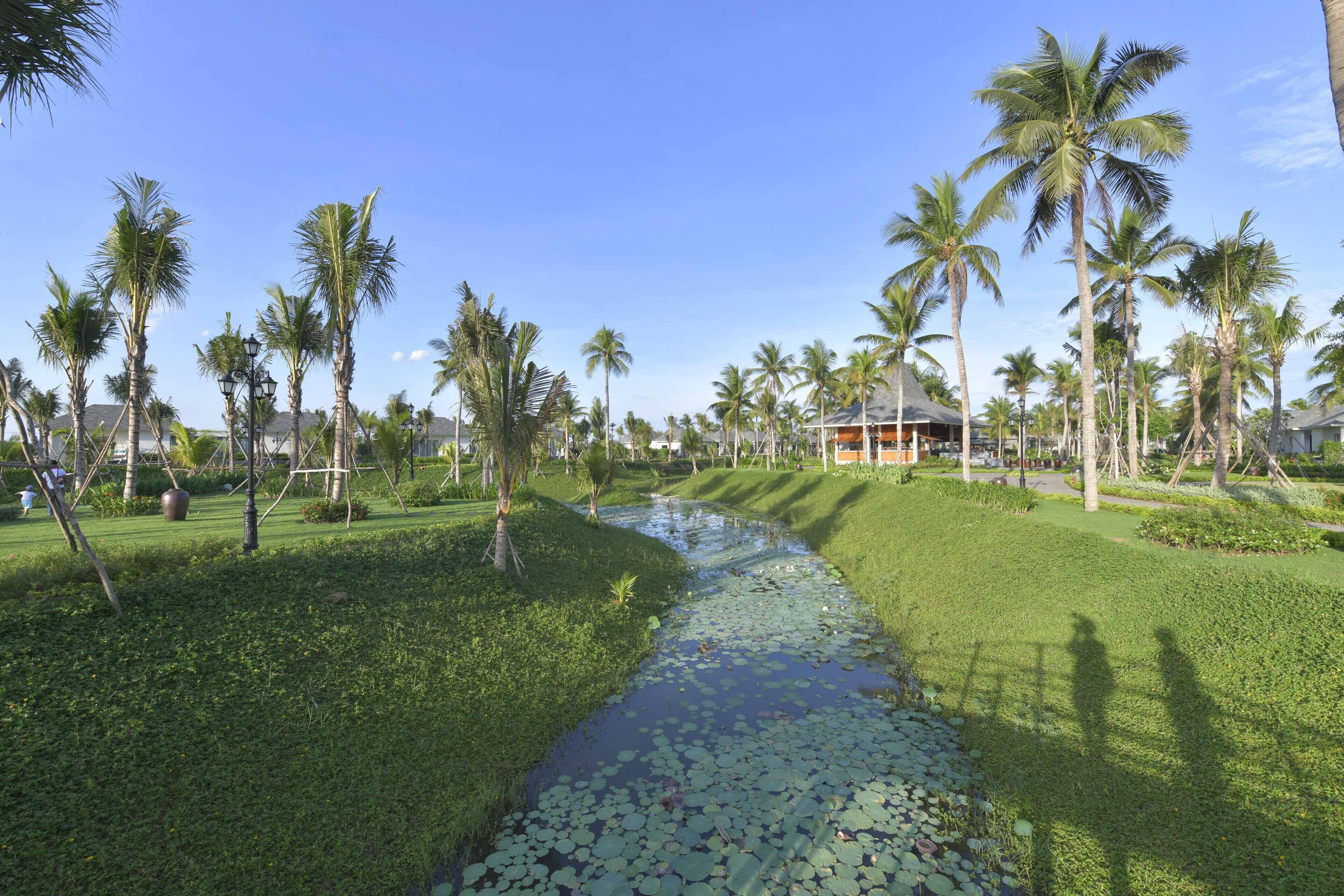 A serene riverside pathway lined with palm trees and a small water body with lily pads.