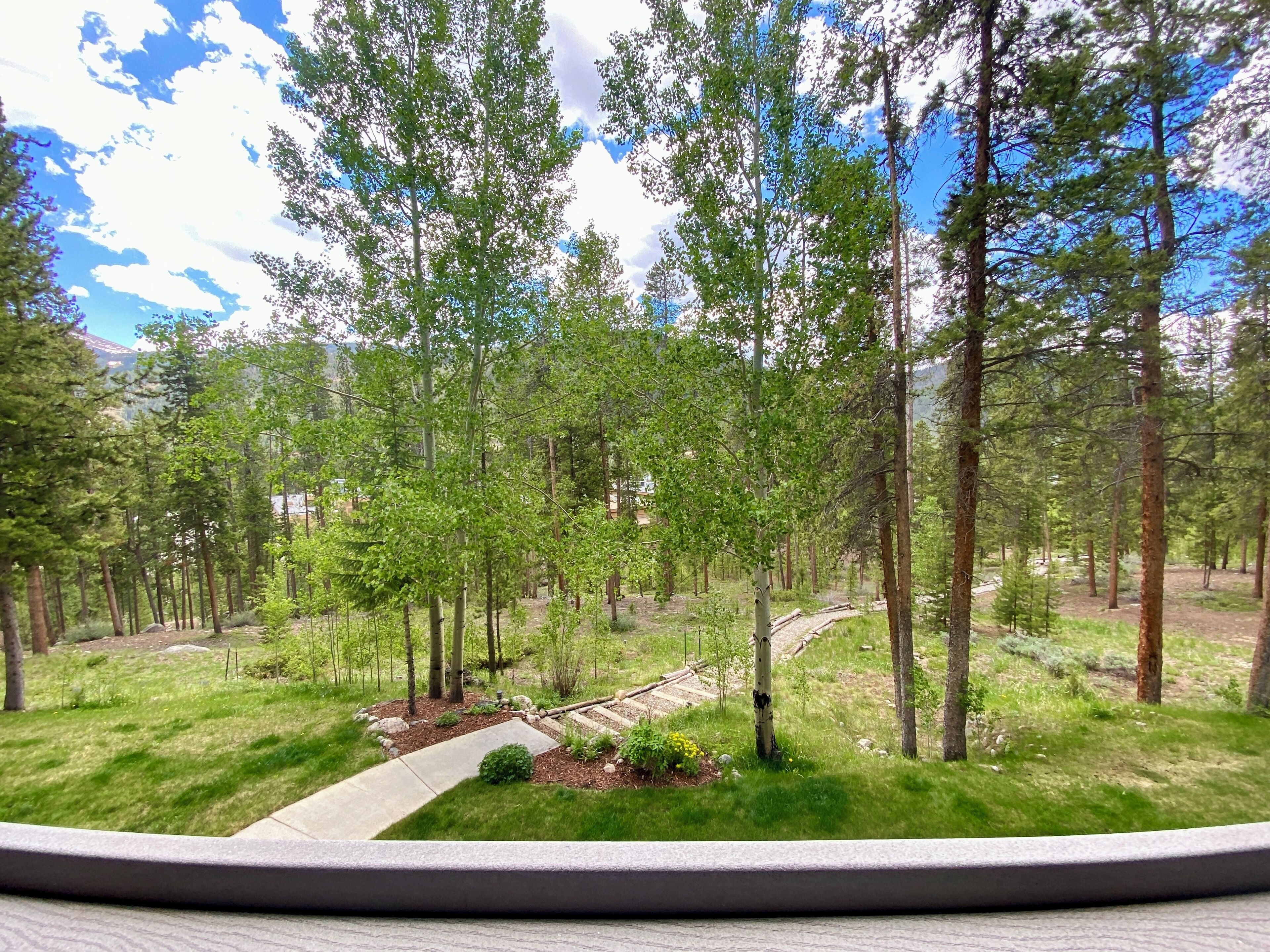 A forested area with a paved path and a small garden area with rocks and plants.