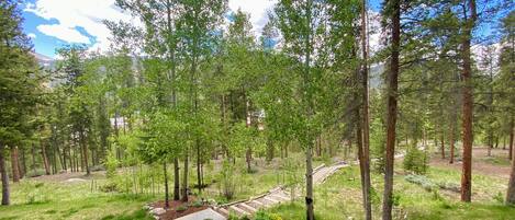 A forested area with a paved path and a small garden area with rocks and plants.