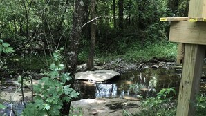 A natural outdoor area with a wooden structure, a small stream, and surrounding vegetation.