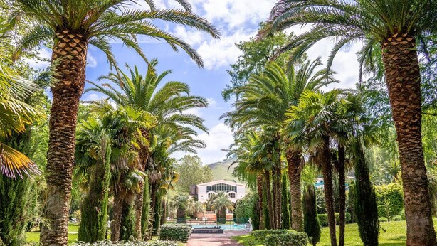 A pathway lined with palm trees leading to a building with a modern architectural design. - Central T2 Apartment with Terrace, Cambo-les-Bains (Cambo-les-Bains)