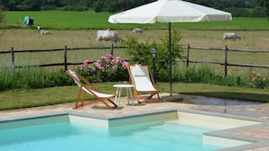 Una piscina con lettini e un ombrellone, circondata da una recinzione in legno e un prato con mucche sullo sfondo.