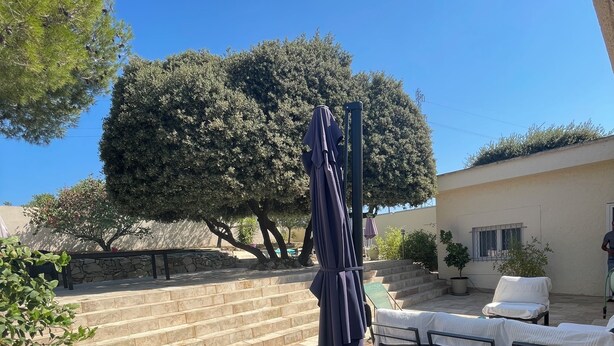 Un'area patio con gradini in pietra, una zona salotto coperta e un grande albero sullo sfondo.