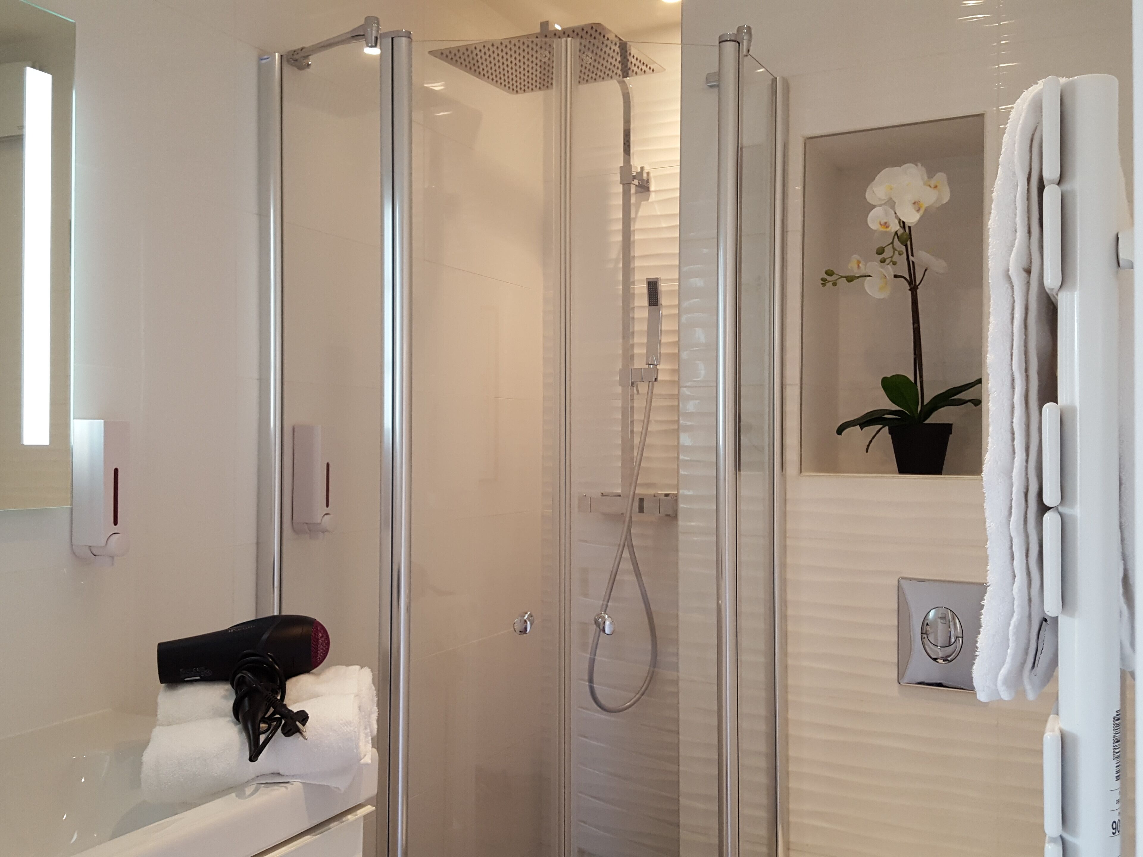 Shower, hair dryer, towels