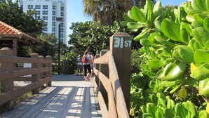 Une promenade en bois mène à un bâtiment portant l’inscription « 31 ».
