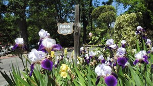 Un cartello con la scritta 'Parkside Cottage' in un giardino pieno di fiori diversi.