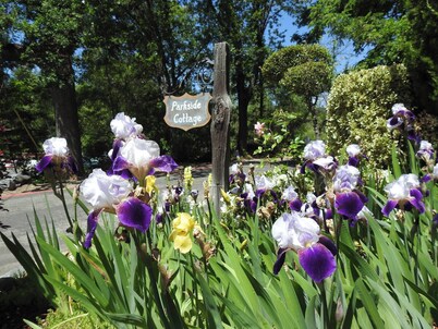 Parkside - Murphys Vacation Rentals